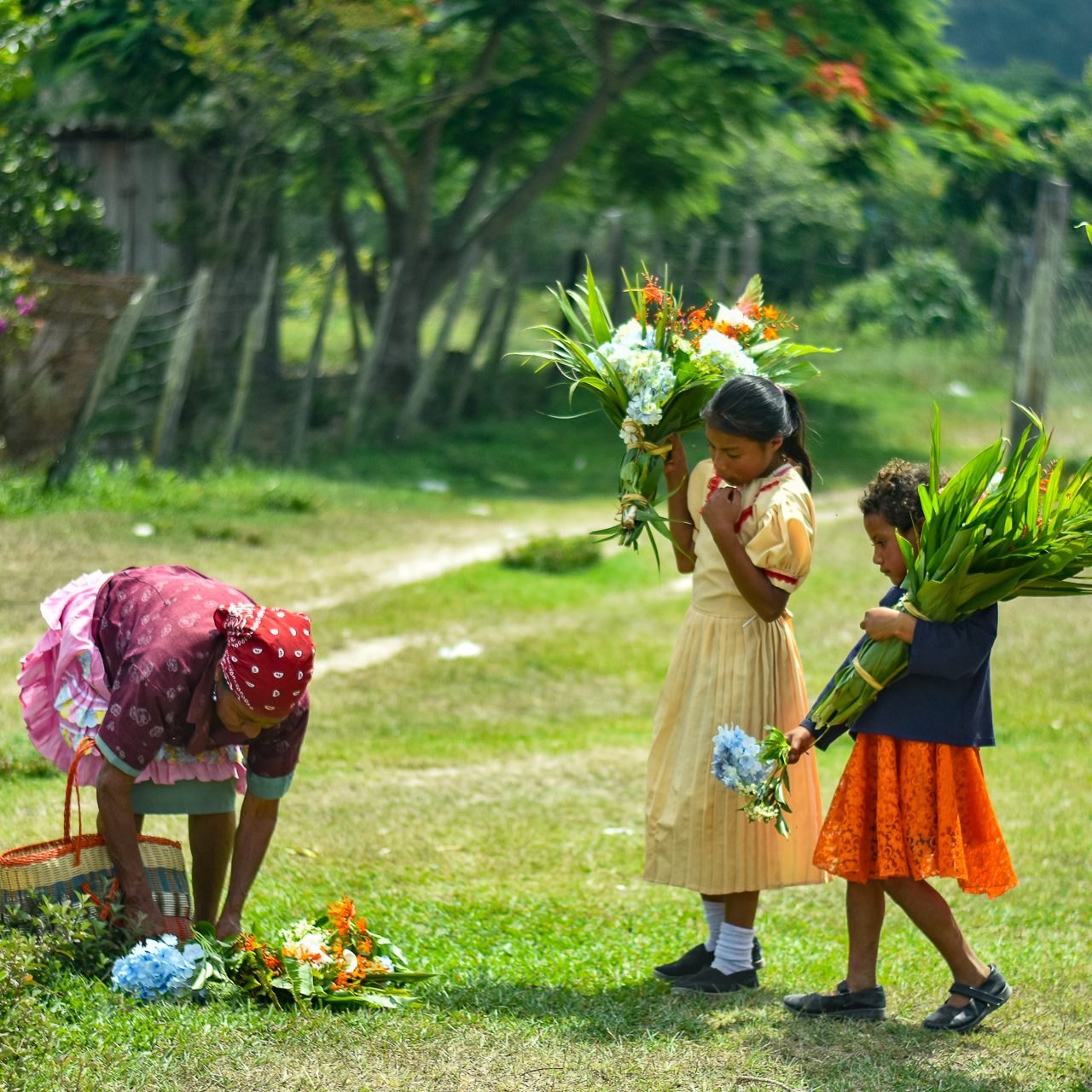 Women and girls carrying freshly gathered flowers along a rural path.