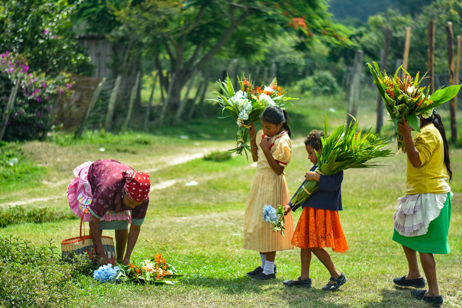 Women and girls carrying freshly gathered flowers along a rural path.